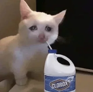 🥺 meow meow, стикер Telegram 11 из 108