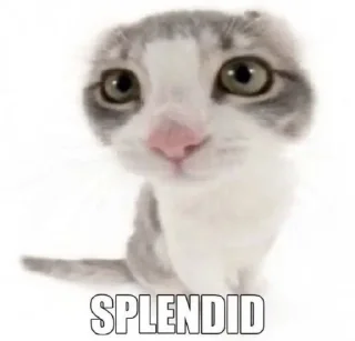 😸 :3, стикер Telegram 9 из 120