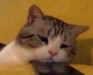 😥 :3, стикер Telegram 15 из 120