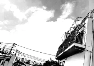 🌟 Punpun @adapterofsociety, стикер Telegram 8 из 120
