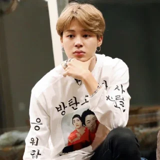 🦚 𝑹𝒖𝒏 𝑩𝑻𝑺 ↝ @MoodPacks ↜, sticker Telegram 17 sur 120
