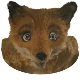 😳 Fantastic Mr. Fox, Telegram sticker 18 of 54
