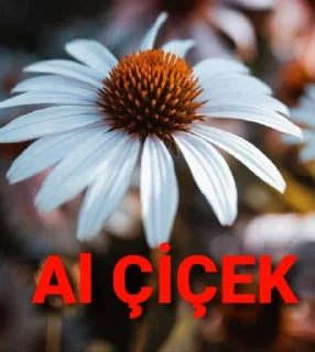 🙂 @Zamanedivane ' özel çıkartma, Telegram sticker 17 of 22