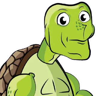 Fred The Turtle