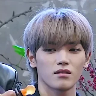 📍 ៸៸ 𝖬𝖾𝗆𝖾𝖢𝗂𝗍𝗒 ៸៸ @Nctpacks, Telegram sticker 17 of 30