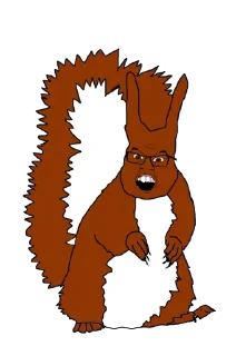 🐿 squirreljak, Telegram sticker 16 of 26