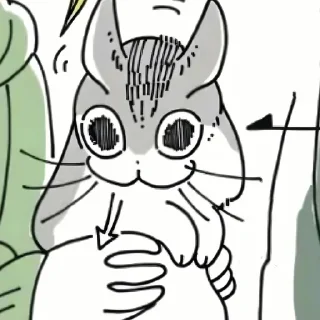─𖧵ֹֺֽ໋໋݊C𝖺𝗍 : 〨㒴 @AoiSekai