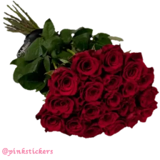 💐 Flowers 🌸@pinkstickers🌸, стікер Telegram 23 з 78