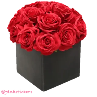 🌹 Flowers 🌸@pinkstickers🌸, стікер Telegram 13 з 78