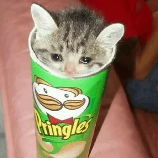 🥺 meow meow, стикер Telegram 10 из 108