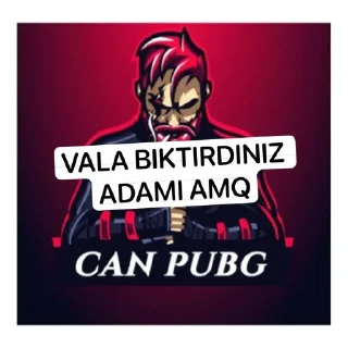 🤞 CAN PUBG, Telegram sticker 19 of 30