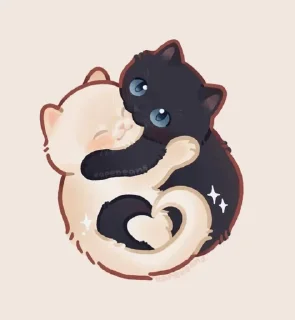 🐈 Cat=Cute✨, Telegram sticker 10 of 21