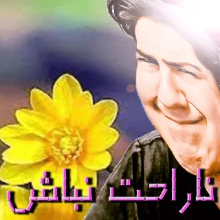 بسته برچسب زیبایی ها 1400