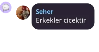🌸 sehere özel, Telegram sticker 7 of 16