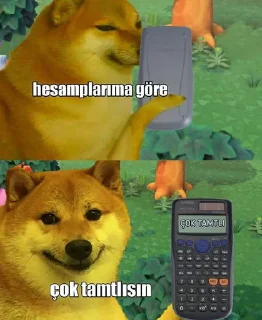 Amcı özel harekat