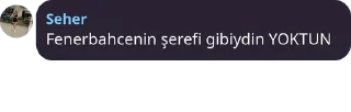 💙 sehere özel, Telegram sticker 15 of 16