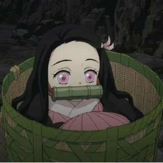 Nezuko kamado