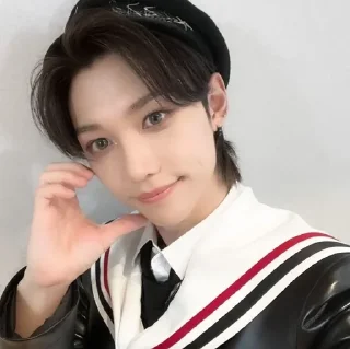 💗 Феликс любимый, sticker Telegram 12 sur 21
