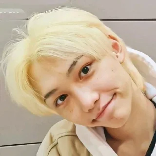 💗 Феликс любимый, sticker Telegram 10 sur 21