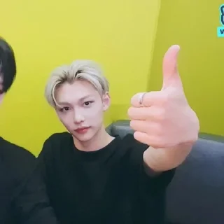 💗 Феликс любимый, sticker Telegram 20 sur 21