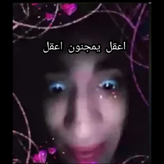 🥺 The King <@HossamHamdi, стикер Telegram 8 из 51