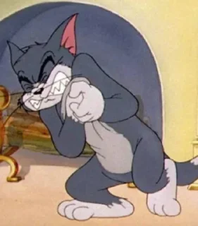 😿 والله شوف, Telegram sticker 15 of 120