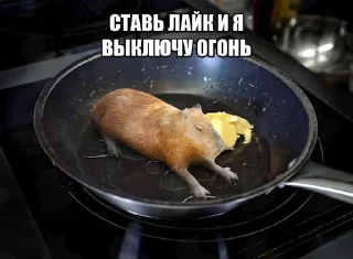 🌟 Капибары :: @IbremMiner837, стікер Telegram 7 з 26