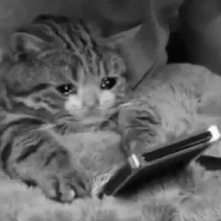 😭 Cute*-*, стікер Telegram 20 з 108