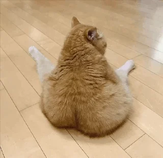 🍑 Cute*-*, стікер Telegram 5 з 108