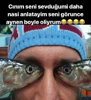 🐟 𝐄𝐦𝐢𝐫 𝐑𝐢𝐯𝐢𝐚'nın çıkartma paketi, стікер Telegram 21 з 74