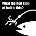 Bait
