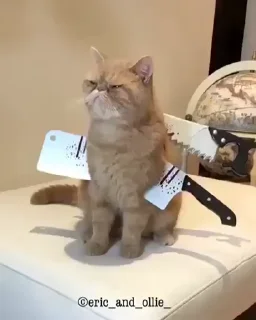 🔪 العم ناصر 🗃️🌟, Telegram sticker 15 of 51