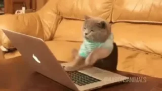 العم ناصر 🗃️🌟