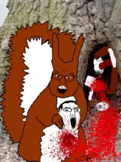 squirreljak