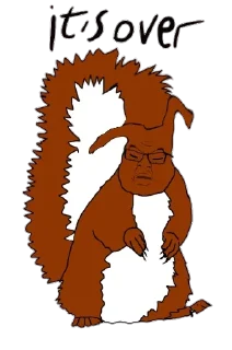 😔 squirreljak, Telegram sticker 20 of 26