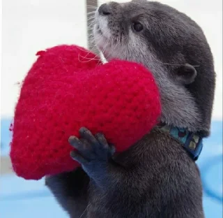 ❤ Otter love, стікер Telegram 2 з 18