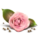 🌷 Sticker TV® LOVE, Telegram sticker 12 of 100