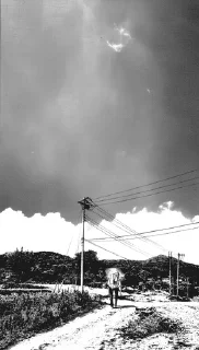 🌟 Punpun @adapterofsociety, стикер Telegram 20 из 120