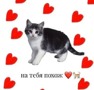 🌟 Няшные стикеры, Telegram sticker 21 of 45