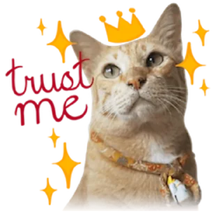 🤴 Messenger Kingdom of Tigers, sticker Telegram 11 sur 25