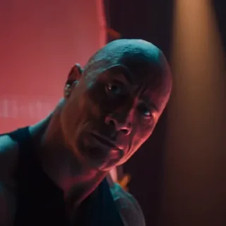 the rock eyebrow