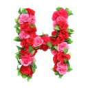 🌹 BN Roses Alphabet🌹, Telegram sticker 8 of 27