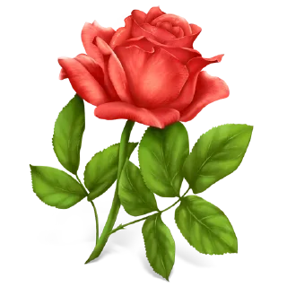 🌹 ورود ١, Telegram sticker 4 of 120