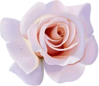 🌸 ورود ١, Telegram sticker 2 of 120
