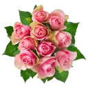 @word16 ورود 🌹