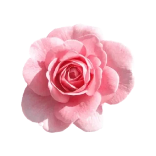 ورود