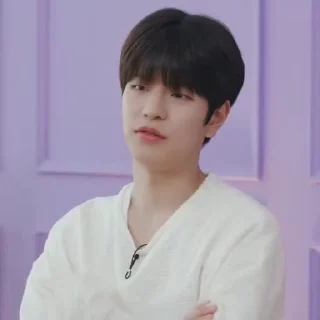 🧋 SeungIn @skzstickers, стикер Telegram 20 из 50