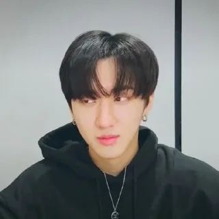CHANGBIN 140421 @skzstickers