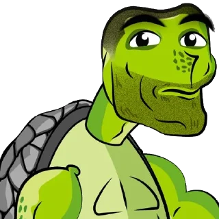 Fred The Turtle