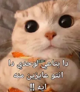 ❤️ BY @YYICC @EbnHussein1, sticker Telegram 23 sur 31